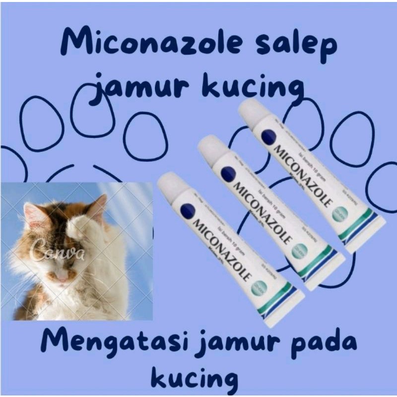 Jual Obat Salep Jamur Kucing Anjing Miconazole Salep Jamur Scabies