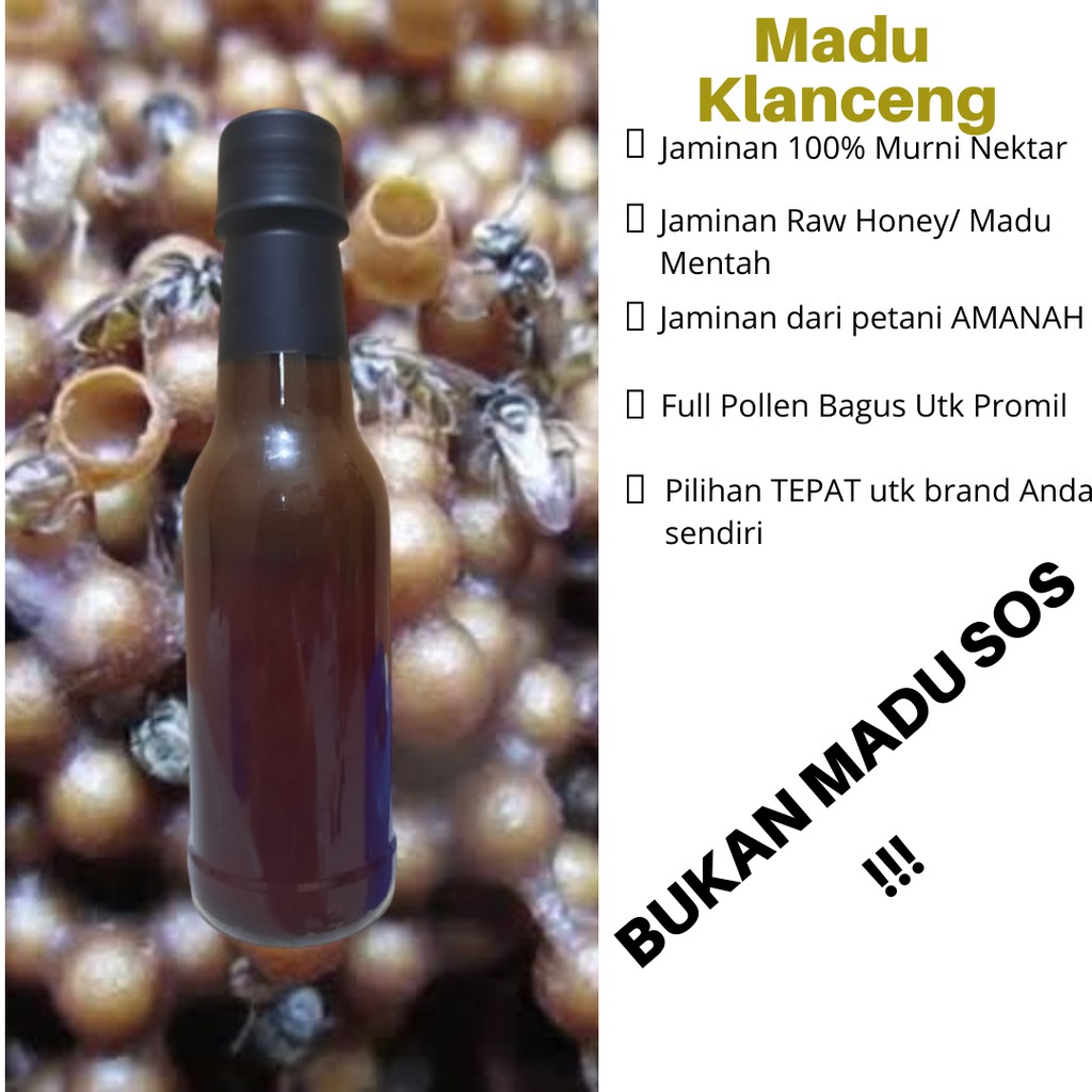 Jual Madu Klanceng Biroi Full Pollen Madu Kelulut Trigona Biroi