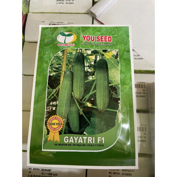 Jual Benih Timun Sayur Gayatri F1 Bibit Timun Hibrida Gayatri Shopee