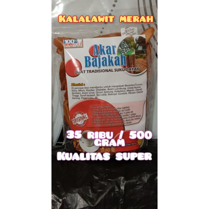 Jual Akar Kayu Bajakah Kalalawit Merah Asli Hutan Kalimantan Original