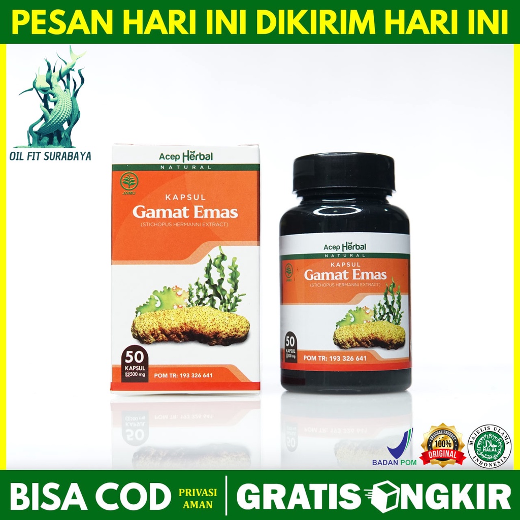 Jual Kapsul Gamat Emas Original Asli Ekstrak Teripang Emas Gamet Herbal