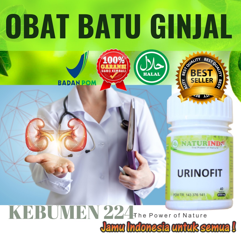 Jual Obat Herbal Batu Ginjal Radang Ginjal Infeksi Saluran Kemih