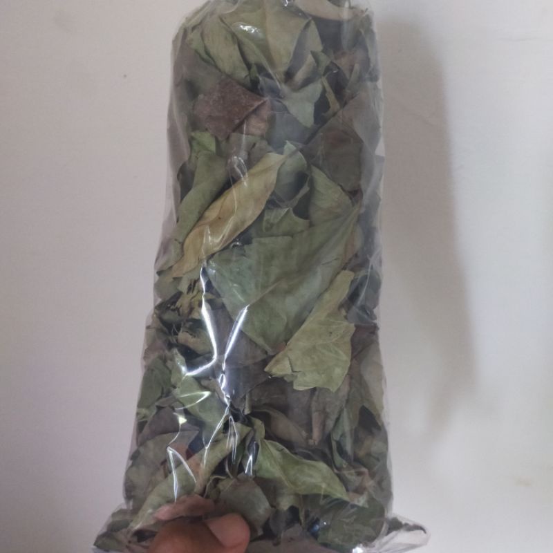 Jual Daun Kari Salam Koja Kering 50 Gram Shopee Indonesia