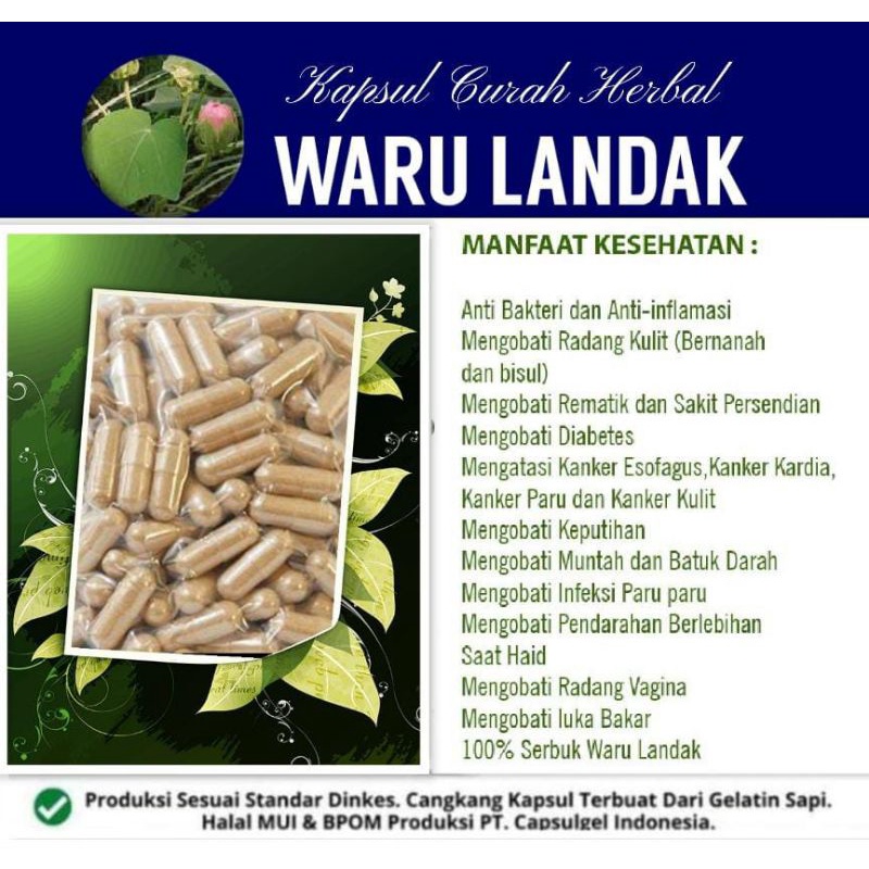 Jual Waru Landak 100 Kapsul Curah Herbal Shopee Indonesia