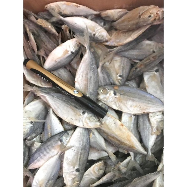 Jual IKAN ASIN SELAR 500G Shopee Indonesia