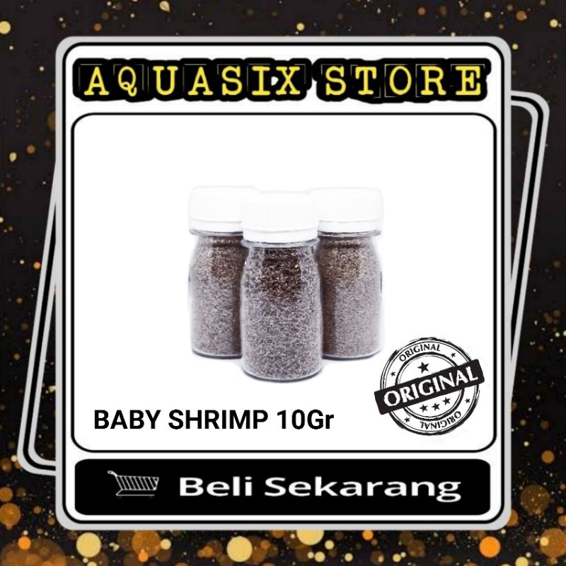 Jual Baby Shrimp Pakan Ikan Cupang Dan Guppy Shopee Indonesia