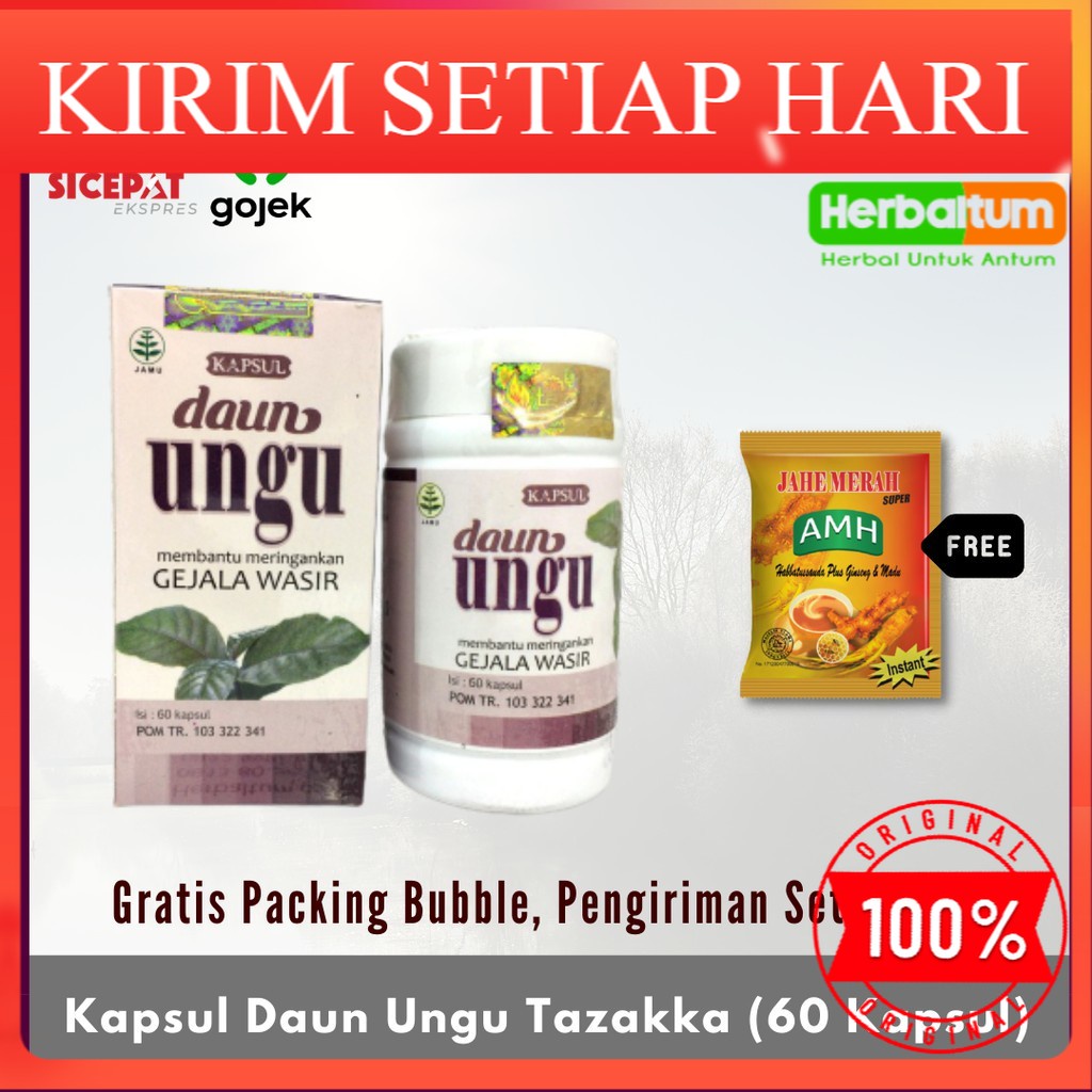 Jual Obat Wasir Kapsul Daun Ungu Obat Herbal Wasir Ambeien Ambeyen