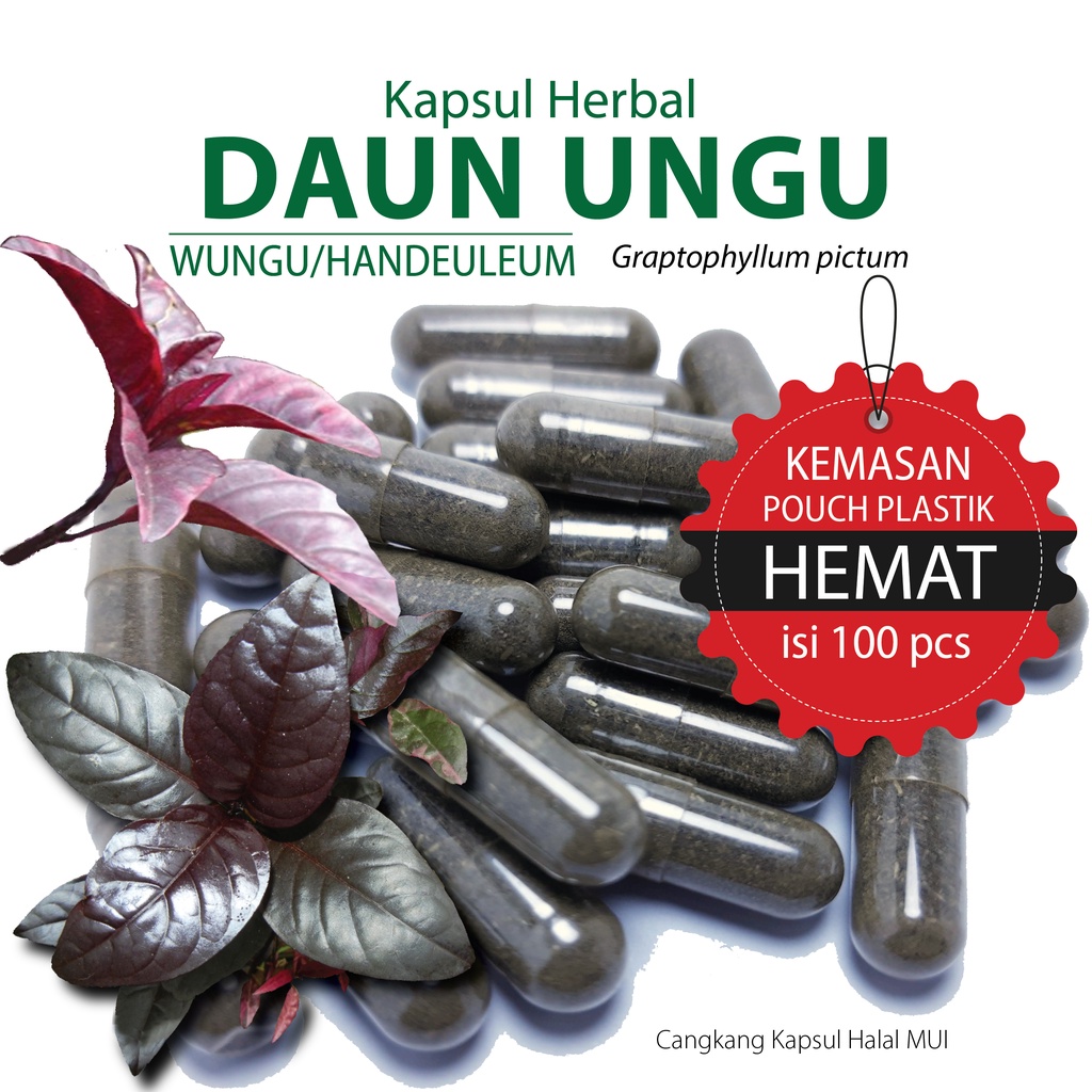 Jual DAUN UNGU Kapsul Herbal Kemasan Hemat Isi 100 Pcs Shopee Indonesia