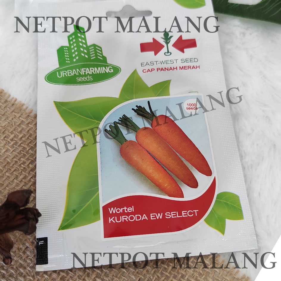 Jual Benih Wortel Kuroda Ew Select Cap Panah Merah Urban Farming Seed