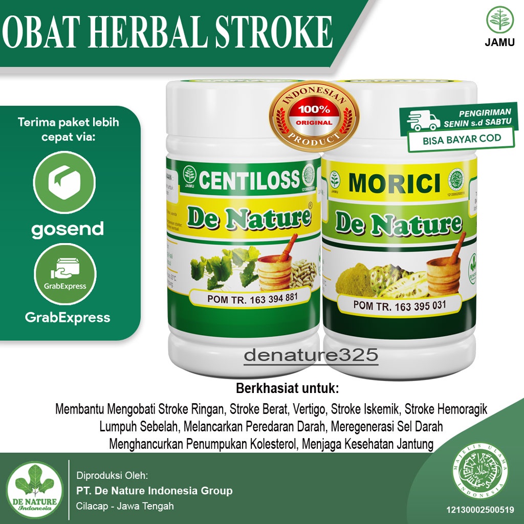 Jual Obat Stroke Ringan Berat Struke Iskemik Hemoragik Lumpuh Sebelah