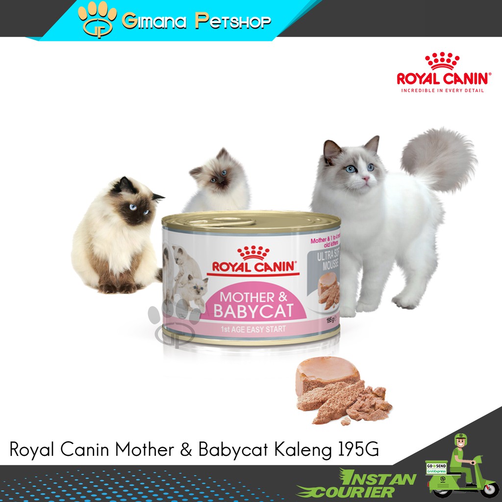 Jual Royal Canin Mother Babycat Makanan Induk Bayi Kucing Wet Gr