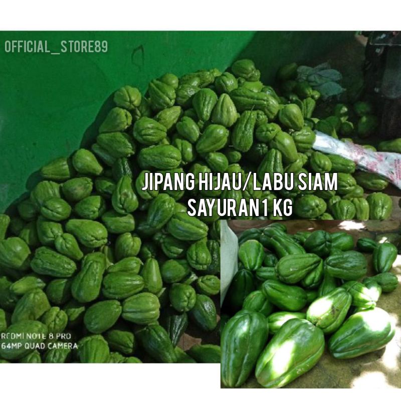 Jual Labu Siam Jipang Hijau Manis Sayuran Kg Shopee Indonesia