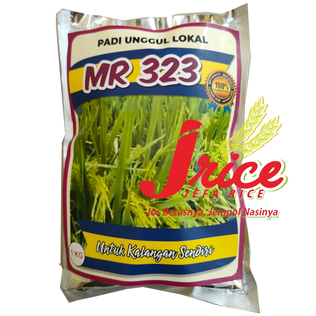 Jual BENIH PADI MR 323 BIBIT PADI UNGGUL MR 323 KEMASAN 1 KG Shopee