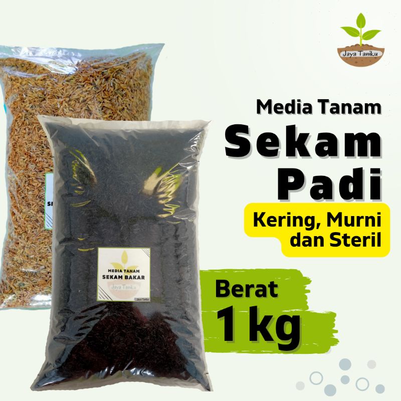 Jual Kg Media Tanam Arang Sekam Sekam Bakar Sekam Mentah Shopee