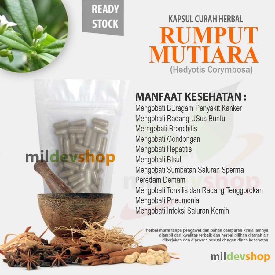 Jual RUMPUT MUTIARA 100 Kapsul Curah Herbal Sumbatan Saluran Sperma