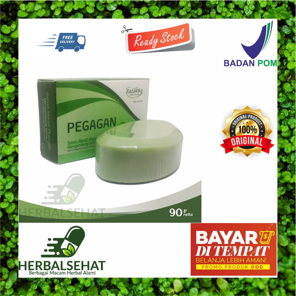 Jual Sabun Mandi Batang Daun Pegagan Herbal Tazakka Official Store Anti