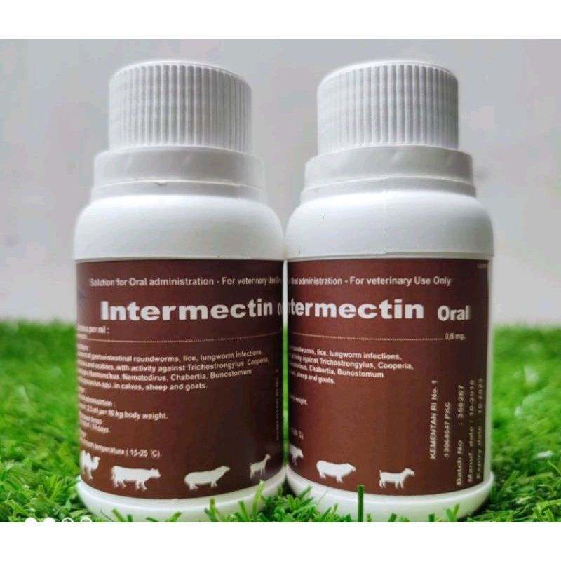 Jual INTERMECTIN ORAL 100ML OBAT KUTU GUDIK CACING SCABIES PADA HEWAN