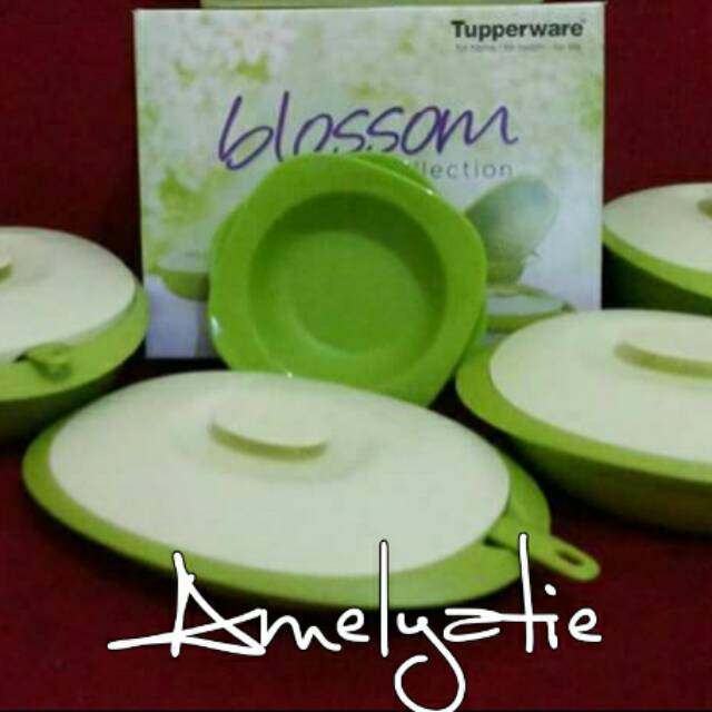 Jual Blossom Collection Shopee Indonesia