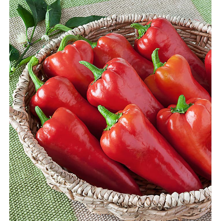 Jual Benih Bibit Biji Cabe Merah Besar Italian Sweet Pepper Isi