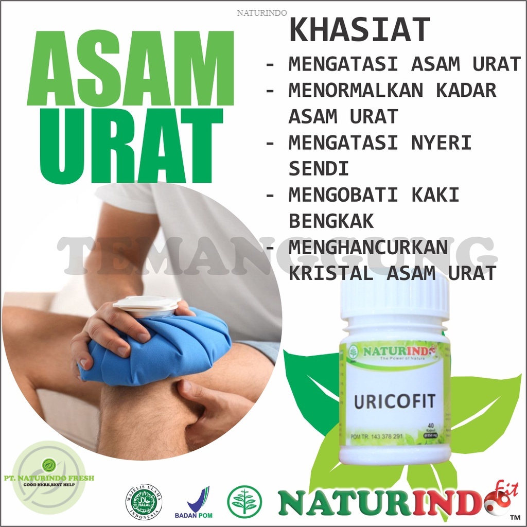 Jual Obat Asam Urat Paling Ampuh Herbal Cina Nyeri Sendi Kaki Bengkak