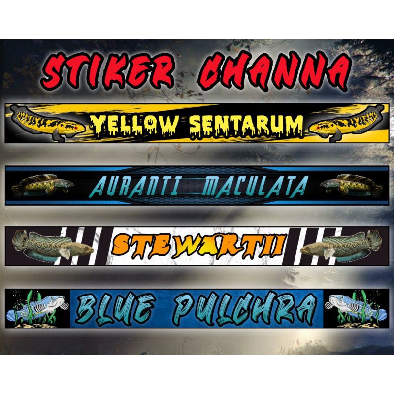 Jual STIKER AQUARIUM AKUARIUM CHANNA STICKER PREDATOR Shopee Indonesia