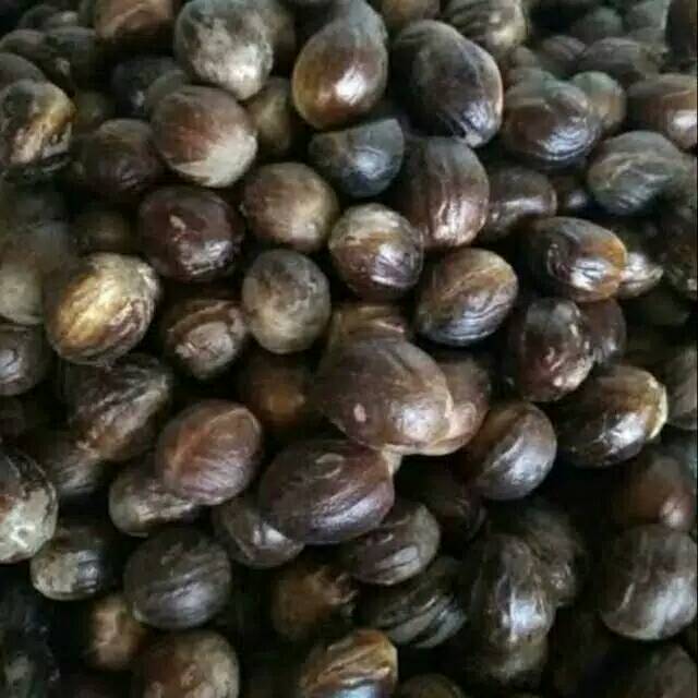 Jual Biji Buah Pala Kering Dijemur Matahari Shopee Indonesia