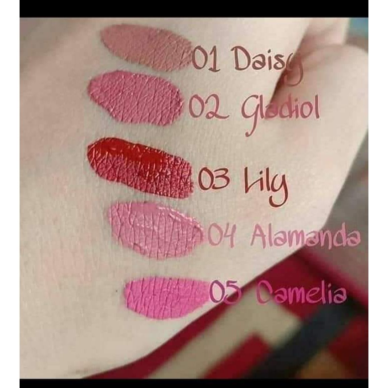 Jual Rk Lip Cream Matte Shopee Indonesia