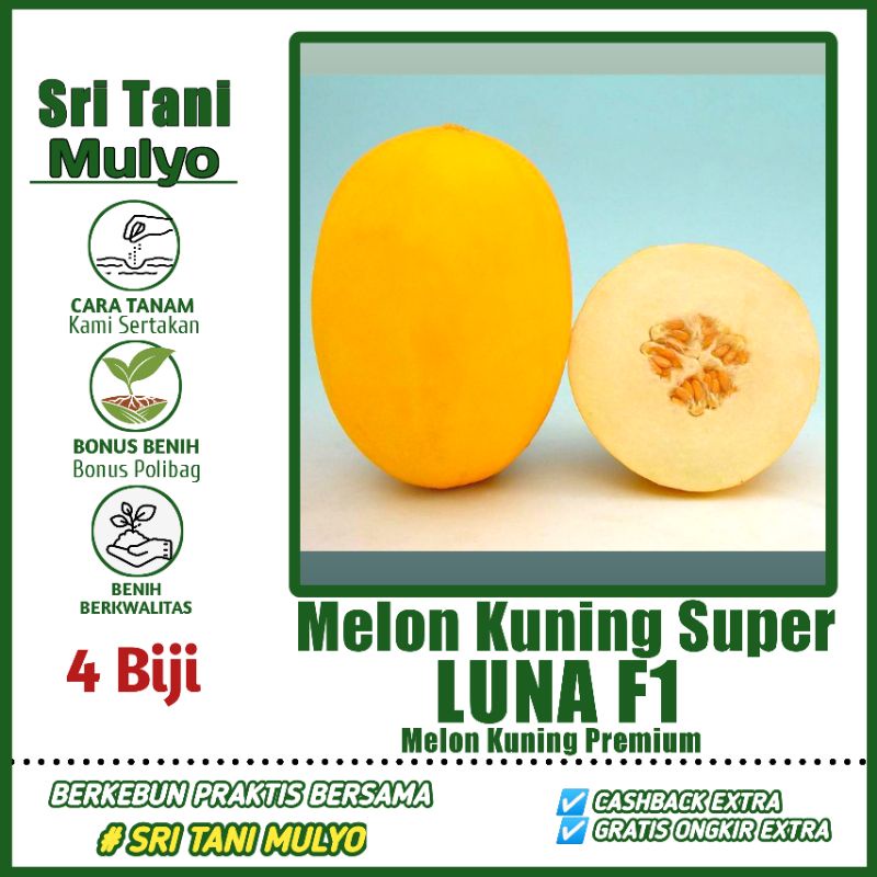 Jual 3 Biji Benih Buah Melon Kuning LUNA F1 Known You Seed Bibit