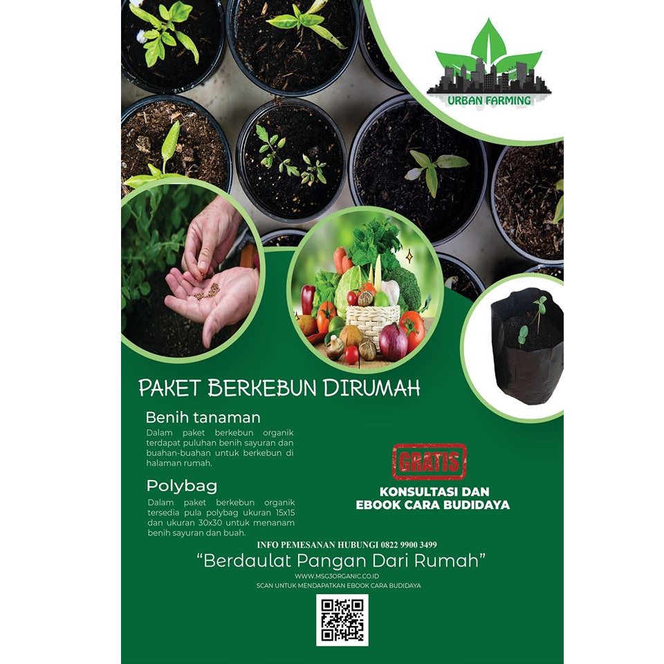 Jual Paket Berkebun Organic Paket Silver Paket Benih Terdiri Dari