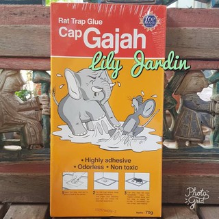 Jual Lem Tikus Trap Papan Cap Gajah Mouse Glue 70 Gram Indonesia