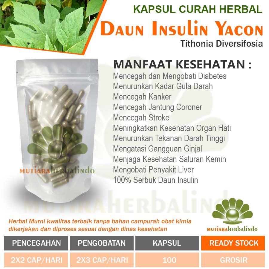 Jual DAUN INSULIN YACON 100 Kapsul Curah Herbal Stroke Diabetes Liver