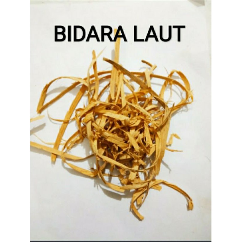 Jual Batang Bidara Laut Kering 500gram Shopee Indonesia