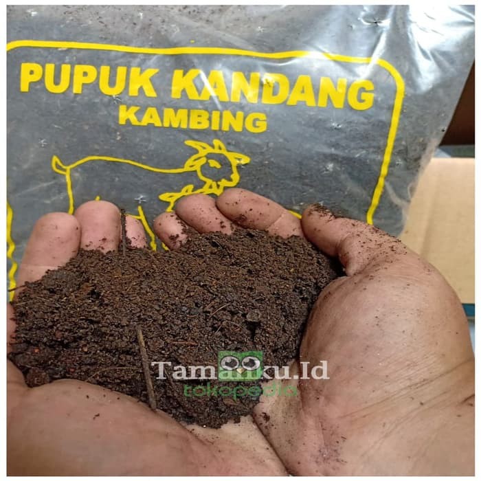 Jual Pupuk Kandang Kotoran Kambing Murni Halus Pupuk Korganik Pk742