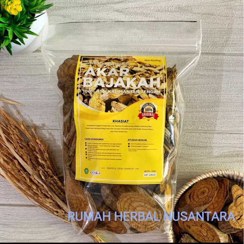 Jual Akar Bajakah Kuning Asli Kalimantan Original 100 Shopee Indonesia