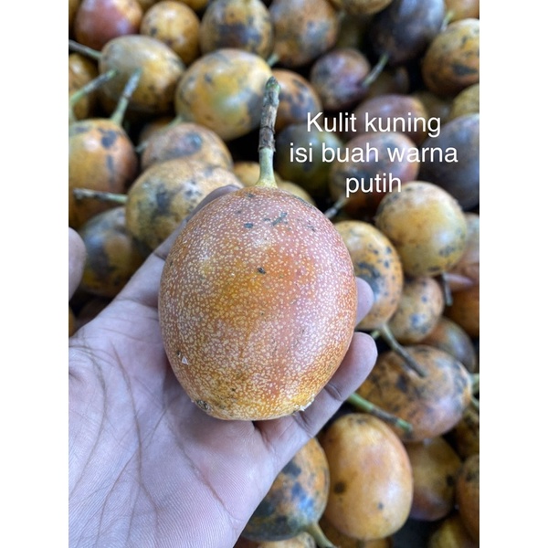 Jual Buah Markisa Medan Manis Segar 1kg Shopee Indonesia