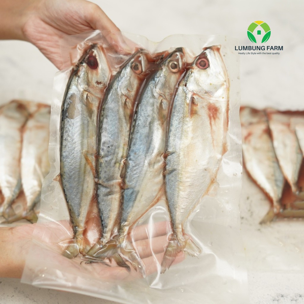 Jual IKAN KEMBUNG ISI 4 SIAP DI GORENG DI BAKAR IKAN SEGAR FRESH