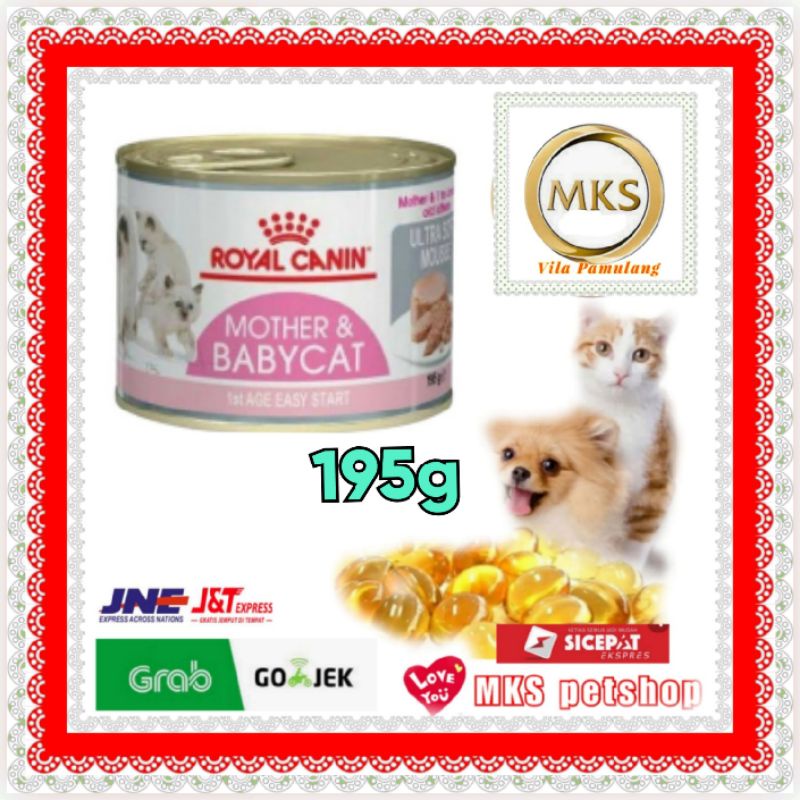 Jual Royal Canin Mother Baby Cat Kaleng Gr Shopee Indonesia