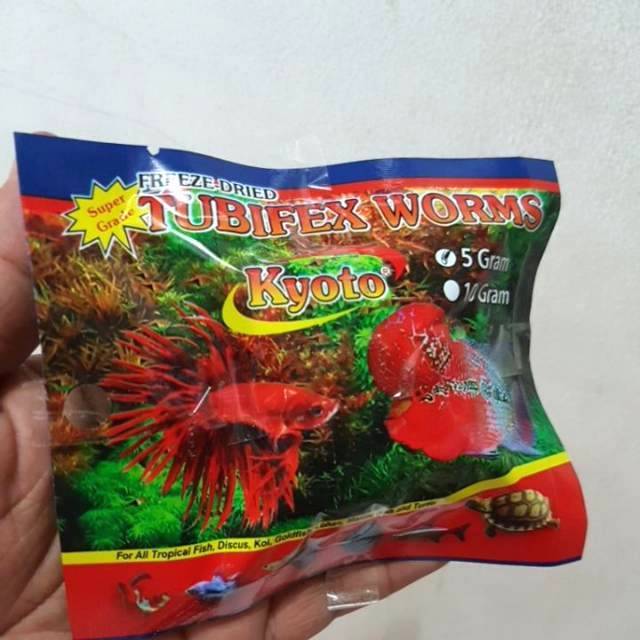 Jual Cacing Kering Tubifex Worm Gr Pakan Ikan Hias Mudah Dan