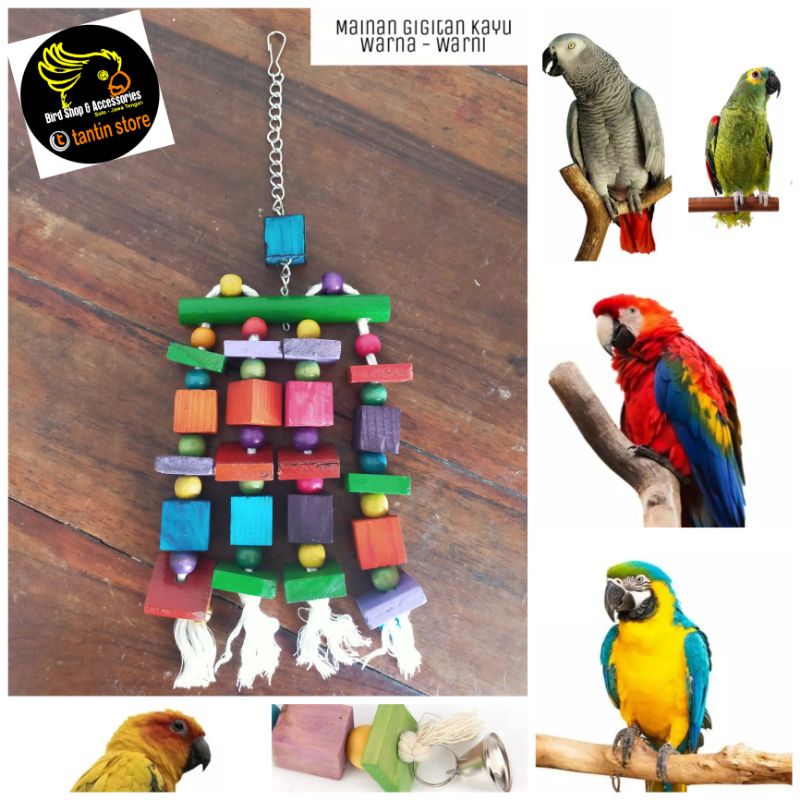 Jual Mainan Gigitan Kayu Warna Warni Burung Parrot Afgrey Macaw