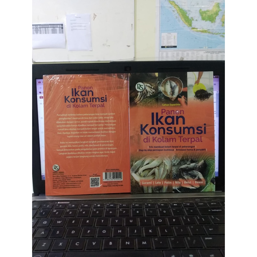 Jual PANEN IKAN KONSUMSI DI KOLAM DI KOLAM TERPAL Shopee Indonesia