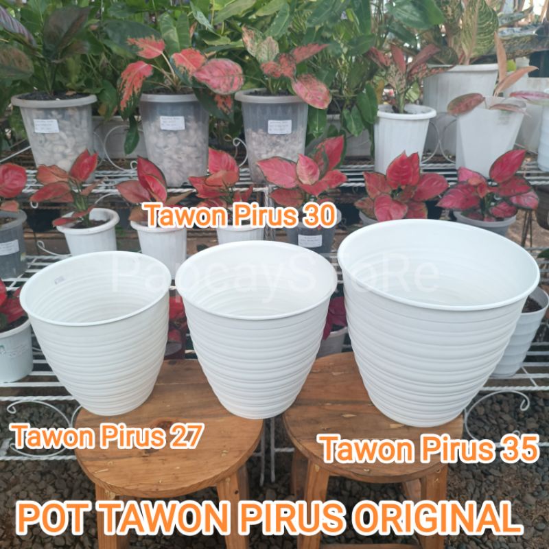 Jual Pot Tawon Pirus 35 ORIGINAL Shopee Indonesia