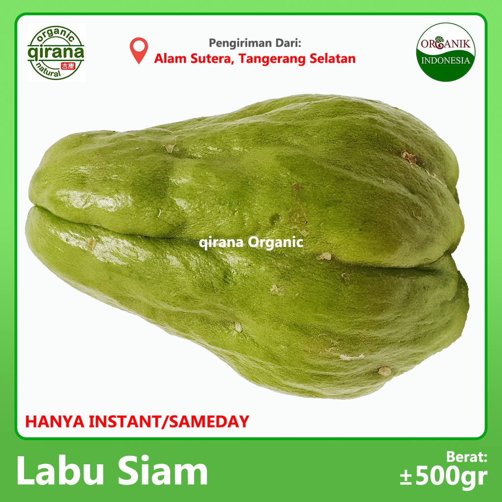 Jual LABU SIAM Organic Pcs 500g Indonesia Shopee Indonesia