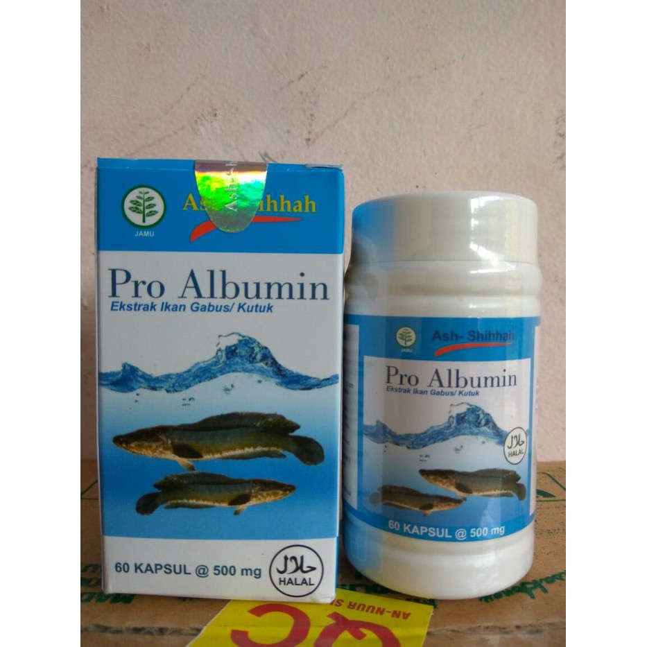 Jual Pro Albumin Ekstrak Kapsul Ikan Gabus Ash Shihah Kapsul