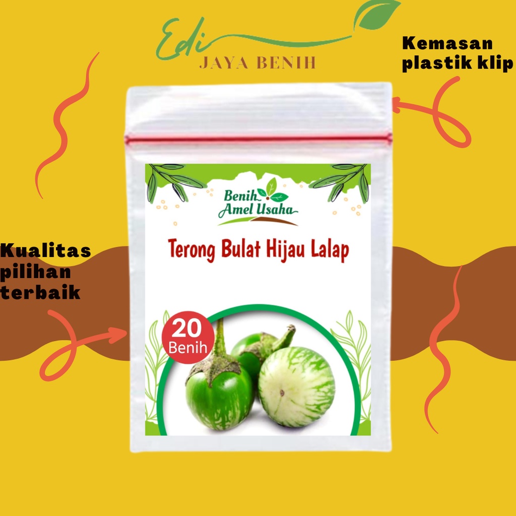 Jual Benih Terong Bulat Lalapan Hijau Isi 20 Gram Benih Sayur Pilihan