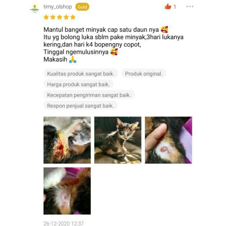 Jual KODE BARANG J7746P OBAT LUKA KUCING LUKA ROBEK LUKA BERNANAH