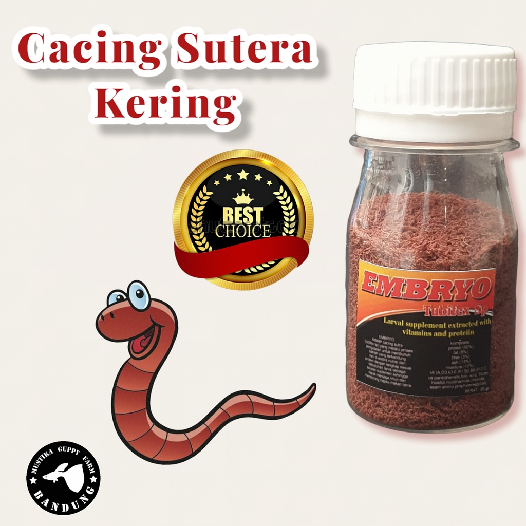 Jual EMBRYO TUBIFEX SP 20 Gram CACING SUTRA KERING Shopee Indonesia