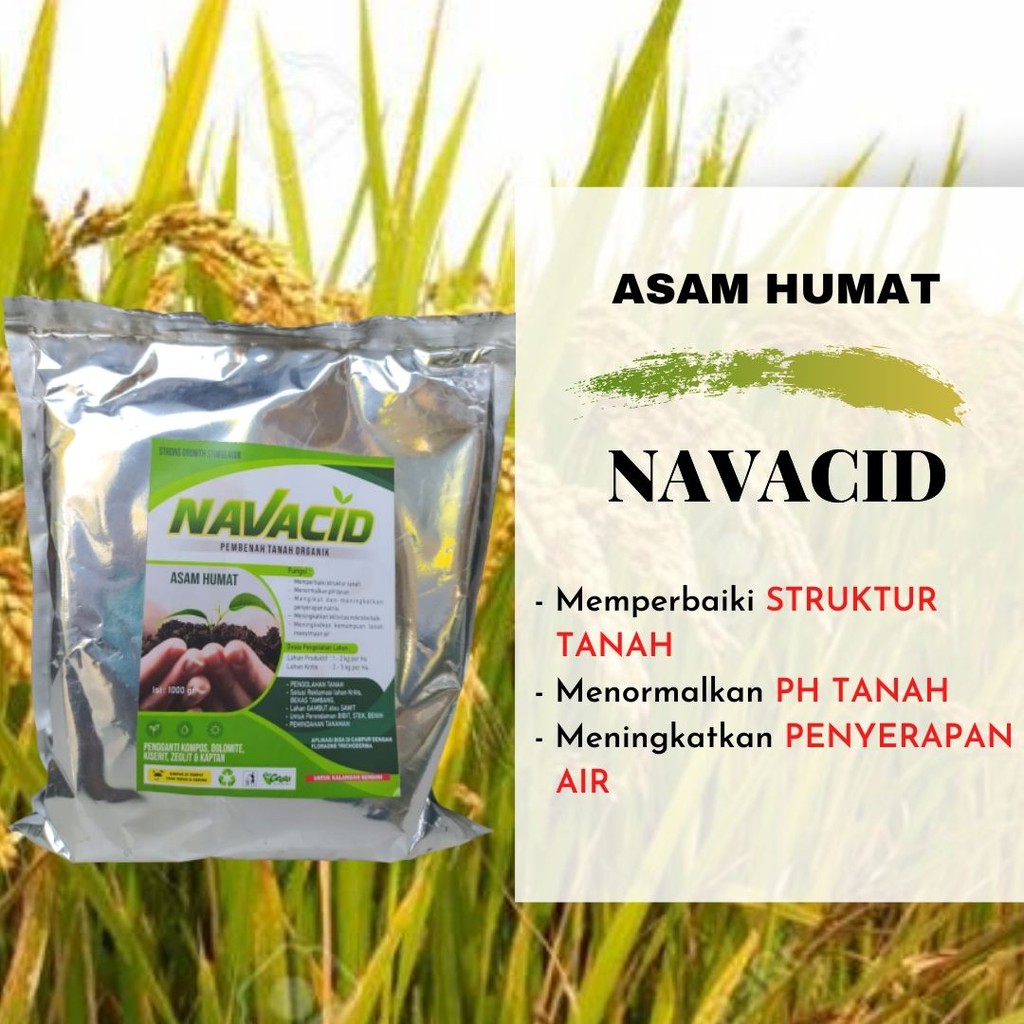 Jual Asam Humat Terbaik Humic Acid Navacid Pembenah Tanah Sawah