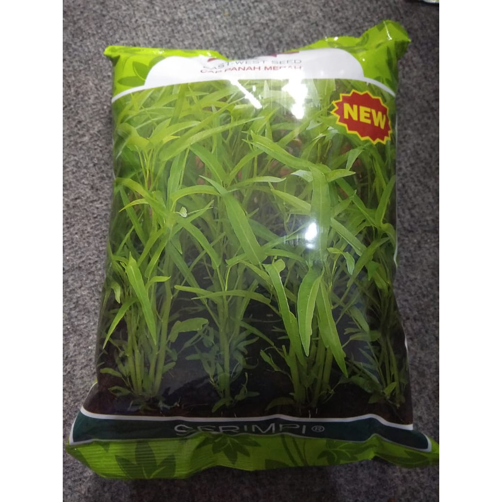 Jual Benih Kangkung Serimpi 1Kg Cap Panah Merah Shopee Indonesia