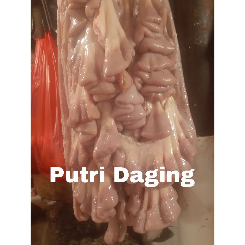 Jual Usus Sapi Iso Shopee Indonesia