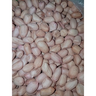 Jual Kacang Tanah Kupas Kulit Luar FRESH 500g 1 Kg Shopee Indonesia